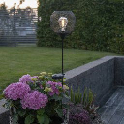 STAR TRADING Sunlight LED solar path light with a ground spike