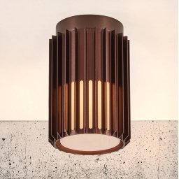 Nordlux Outdoor ceiling light Aludra, Seaside metallic brown