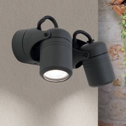 ORION Vision outdoor wall light, pivotable, two-bulb