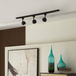 Prios Felipo three-circuit track lighting system 3-bulb black