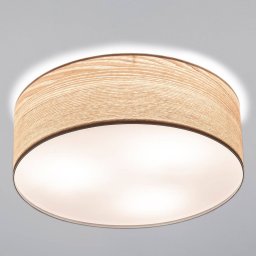 Paulmann Liska ceiling lamp in light-coloured wood