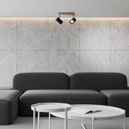 Näve Frida ceiling spotlight, 2-bulb, brass/black