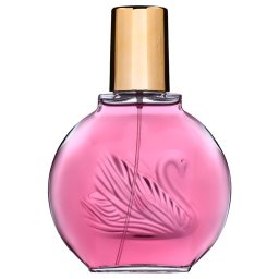 Gloria Vanderbilt Minuit New a York EDP W 100 ml