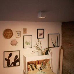 Philips myLiving Box LED spot one-bulb white