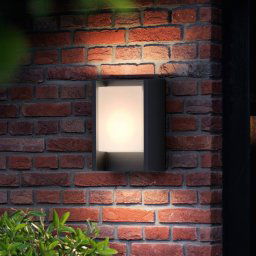 Philips LED outdoor wall light Arbour UE, 3,000 K