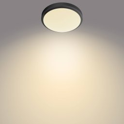 Philips Doris LED ceiling lamp 2700K black Ø28cm