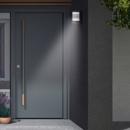 Telefunken Toledo LED sensor outdoor wall light black 4,000 K