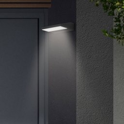 Telefunken Bergen LED outdoor wall light black 4,000 K