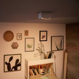 Philips myLiving Box LED spot 2-bulb white