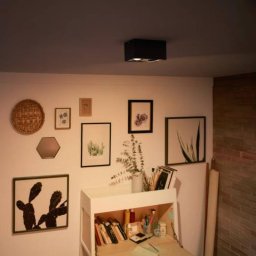 Philips myLiving Box LED spot 2-bulb black