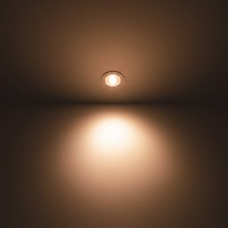 Philips Dive LED downlight IP65 round white