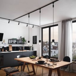 Paulmann URail Tubo spot 3-step-dim 4,000 K black