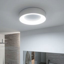 Paulmann HomeSpa Casca LED ceiling lamp Ø40cm, white/aluminium, IP44