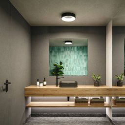 Paulmann HomeSpa Casca ceiling light Ø30cm black