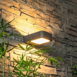 Heitronic Modern Juna LED wall light for outdoors