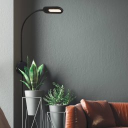 Briloner 2177015 LED wall light with a dimmer, black