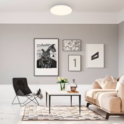 Briloner LED ceiling light Ekos, sensor, Ø 26 cm