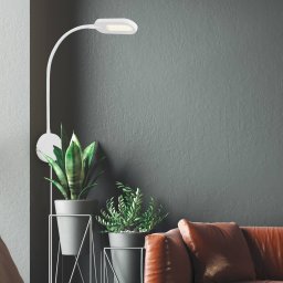 Briloner 2177016 LED wall light with a dimmer, white