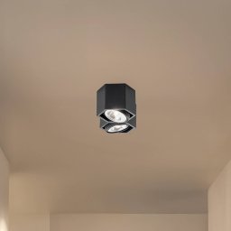 Euluna Elvas ceiling light, swivelling, 2-bulb, black