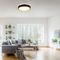 JUST LIGHT. GmbH LED ceiling light Emilia 3-stage dimmable black
