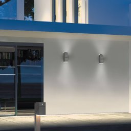 Trio Lighting LED outdoor wall light Avon, 2-bulb