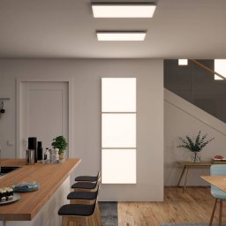 Paulmann Velora LED panel 3-step dim 59.5x29.5 cm