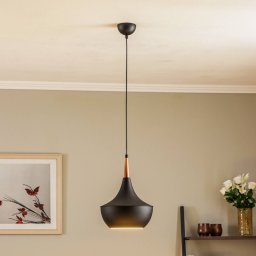 Avonni AV-4106-A7-BSY pendant light in an unusual shape