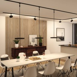 Paulmann URail Hildor LED spot black 4,000 K