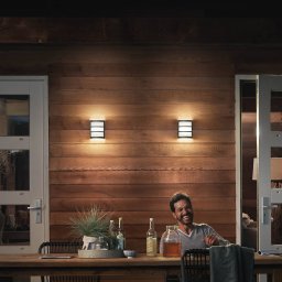 Philips LED outdoor wall light Python UE, anthracite