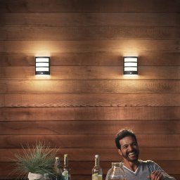 Philips LED outdoor wall light Python UE, anthracite, sensor