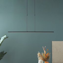 Steinhauer LED pendant light Zelena, black, length 122cm, metal, CCT