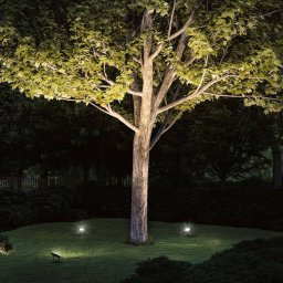 Paulmann Plug & Shine floodlight with spike 16W