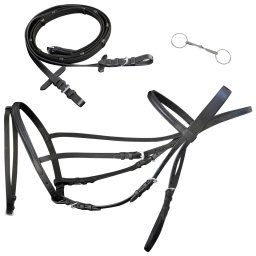 vidaXL Leather Flash Bridle with Reins and Bit Black Full