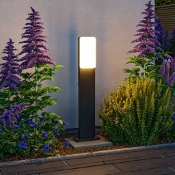 Paulmann LED path light Bonnie, aluminium, anthracite