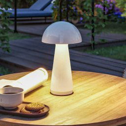 Paulmann Onzo LED rechargeable table lamp, white, plastic, IP44