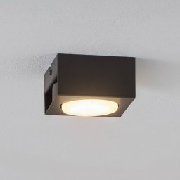 Luminex Downlight Ian in black, 1-bulb