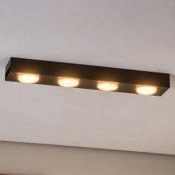 Luminex Downlight Ian in black, 4-bulb