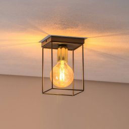 Luminex Anna ceiling light with metal frame, 1-bulb