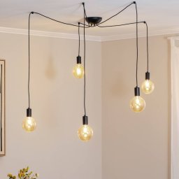 Nowodvorski Lighting Spider pendant light in black, 5-bulb
