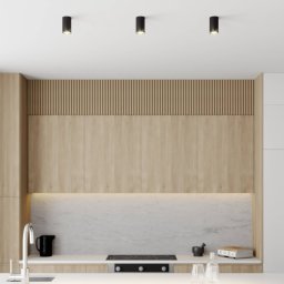 Nowodvorski Lighting Downlight Eye S in cylinder shape, black