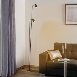 Nowodvorski Lighting Mono II floor lamp, 2-bulb, black