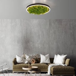 JUST LIGHT. GmbH LED ceiling lamp Green Ritus, moss dimmable Ø39.3cm