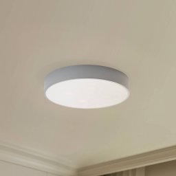 TEMAR LIGHTING Cleo ceiling light, Ø 50 cm, IP54, grey, metal, E27
