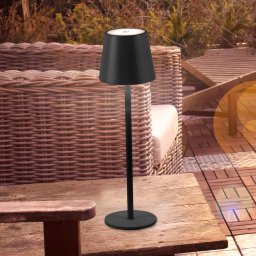 JUST LIGHT. GmbH JUST LIGHT. Euria LED table lamp, black, iron IP54