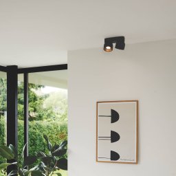 Nordlux Pitcher downlight, GU10, 2-bulb, metal, black