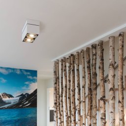 SLV Kardamod ceiling lamp, white, steel, length 31.5 cm, 2-bulb.