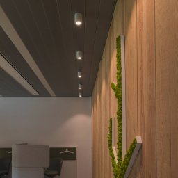 SLV Triledo ceiling lamp, white, aluminium, Ø 10 cm