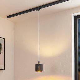 Arcchio Heleni track hanging light black gold 12cm