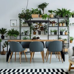 Nowodvorski Lighting Plant pendant light with shelf, black