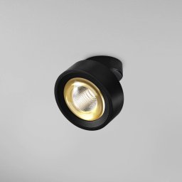 Egger Licht EGG DLS LED spot Clippo Optic, black/gold, Ø 12 cm, DTW